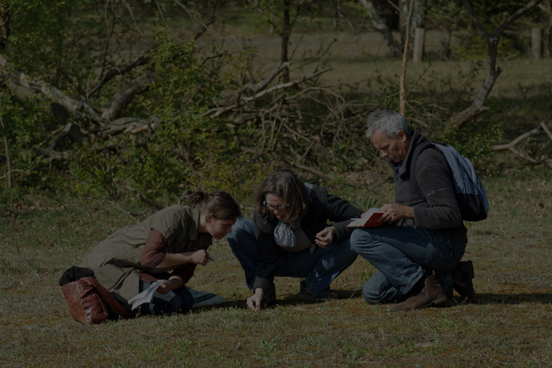 PGNU Leistungen / Projekte